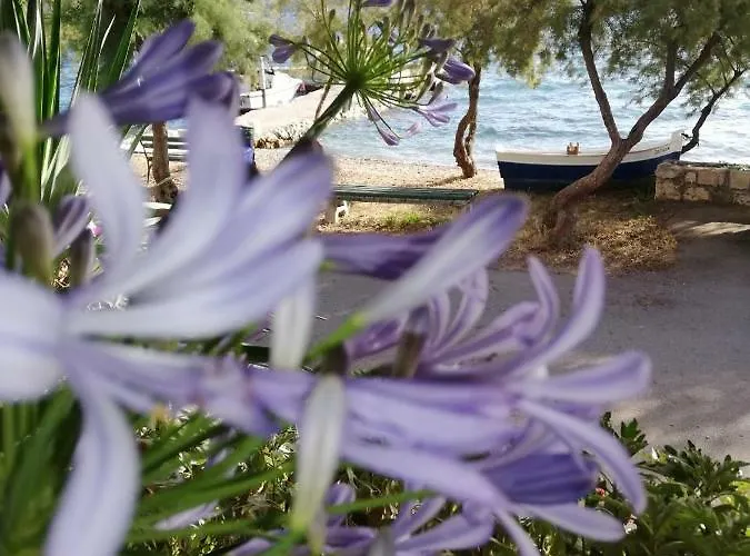 דירה Vista